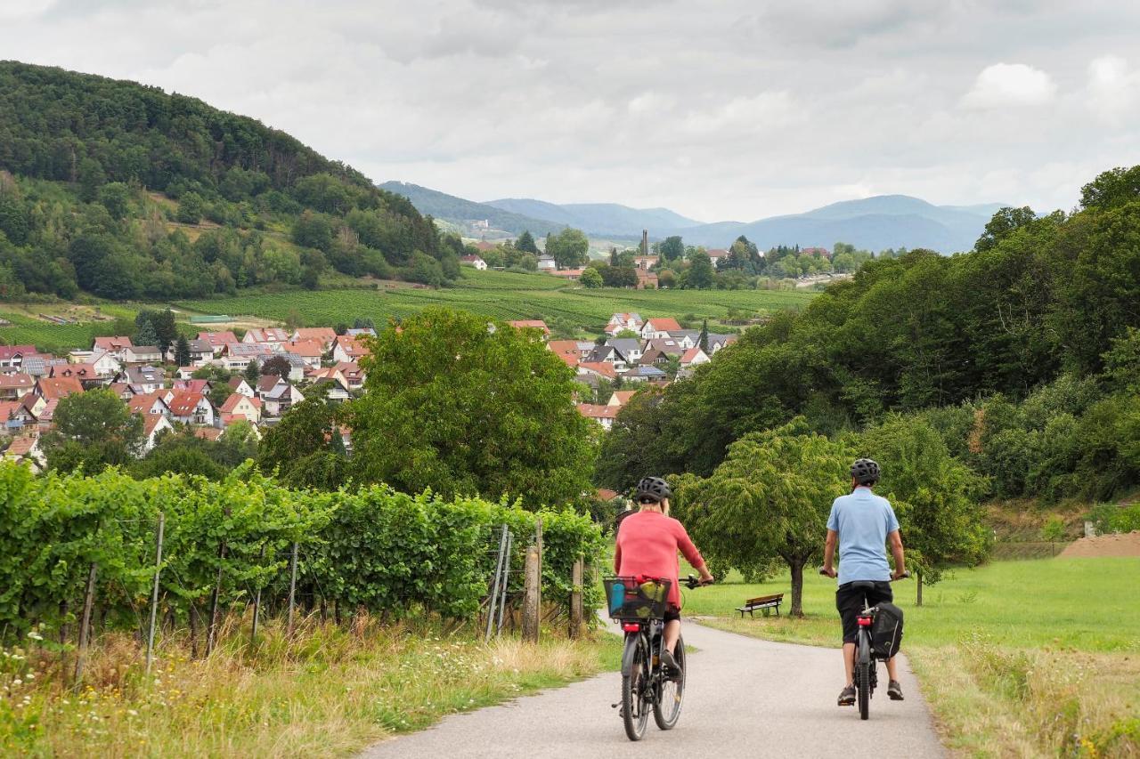 豪尔乡间酒店 Pleisweiler-Oberhofen 外观 照片