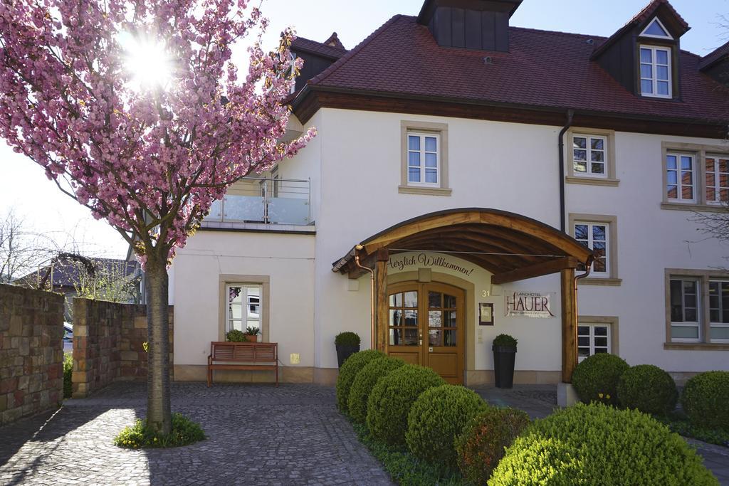 豪尔乡间酒店 Pleisweiler-Oberhofen 外观 照片